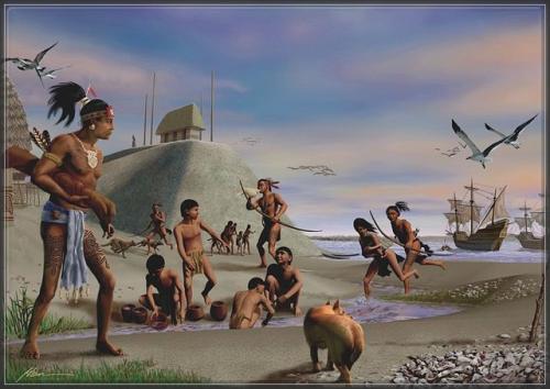Calusa Indians lived in Florida for hundreds of years before the Spanish arrived. Many of the Indians were captured by Spainish slave traders.