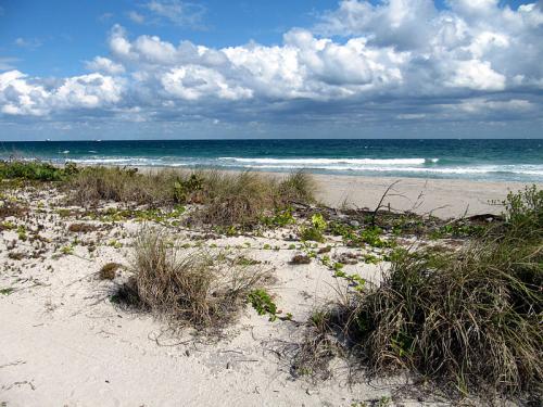 This was the Negro beach in Fort Lauderdale. Blacks had segregated beaches in other Florida towns including St Augustine_ Jacksonville and Miami.