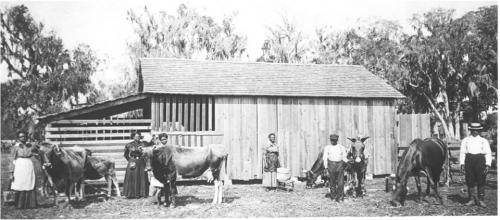 The start of bethune cookman mrs bethune at far left in full lenght black dress