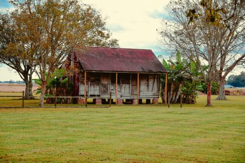 A typical home for enslaved people in the South