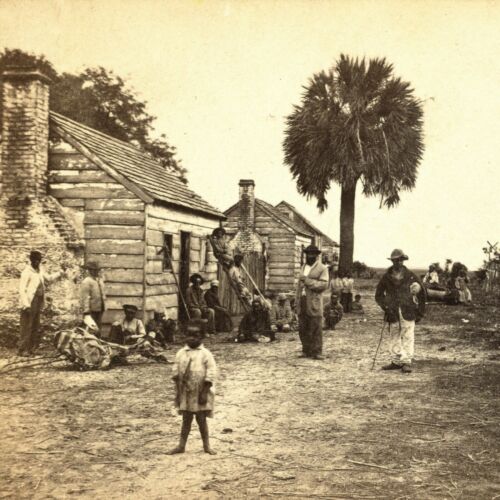 African American freedmen outside the Flipp Plantation_ S.C. _ 1865 (1)