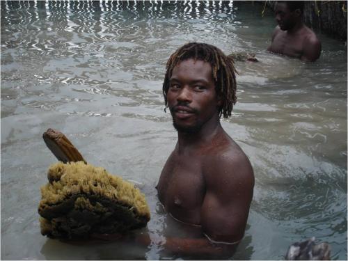 Red Bays 21 A sponge fisherman preparing sponges for harvest