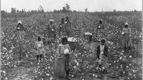 The children of black share croppers in Mississippi following the Civil War. Life was no better for them than it was before the war.