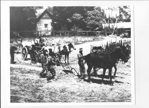 Work- Convict Labor- Convicts building a road in 1925_ location unknown Florida State Archives 001