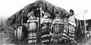 blacks and seminoles int 
