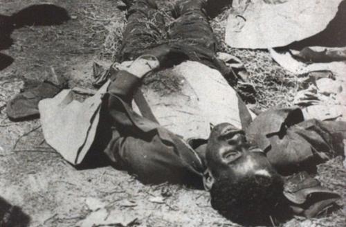 chicago race riot 25 black dead 12 