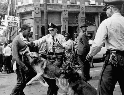 civil rights dogs on demonstrators 