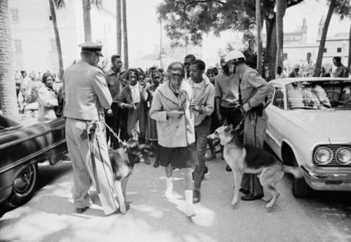 civil rights st aug boy and girl asked to be arrested march 31 64 passing dogs on way to crusier