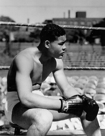 joe louis spring of 36 max had defeated joe