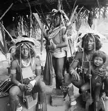 maroons 