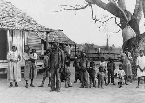mule sharecroppers 