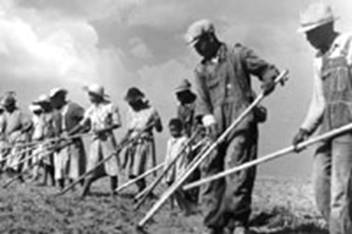 mules sharecroppers 45 