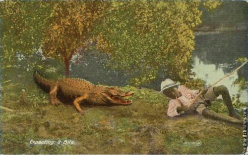 racist humor Postcard_Expecting_a_Bite