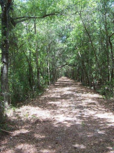 rosewood dunn property