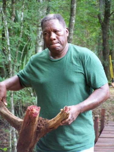 rosewood old rosewood root lod 