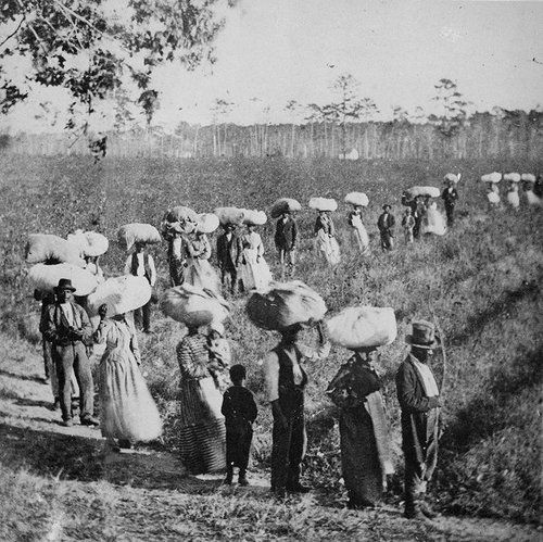 slaves returning from a cotton field in the South 