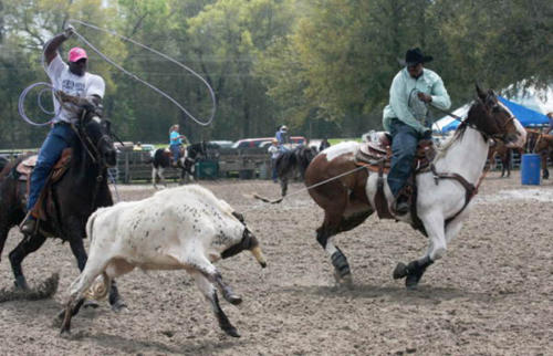 two black-cowboys roping steer